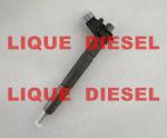 BOSCH Piezo fuel injector 0445115067, 0445115049 , 0 445 115 067, 0 445 115 049