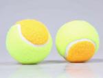 2014 new pet products