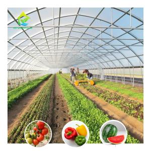 Wholesale Economical Low Cost Plastic Film Single-span Poly Tunnel Galvanized Greenhouse Tent from china suppliers