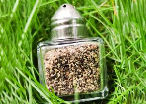 China 17ml Glass Condiment Shaker by Metalcraft, Featuring a Sturdy Metal Lid on sale