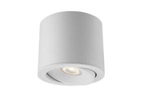Wholesale 7W IP54 30 Tiltable Waterproof Outdoor Surface Mount Lights 24°Bean Angle from china suppliers