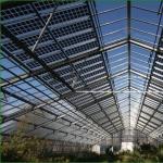 Hydroponic Ventilation Photovoltaic Greenhouses 6/9 and 6/12 Meters for Crop