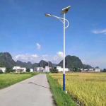 FT-SS002-6M 30W Solar Integrated LED Street Light In Urban Circumstance