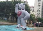 5m High Outdoor giant Inflatable Mascot for promotion and decoraction