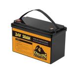 24V 50Ah 60Ah 100Ah 200Ah 230Ah 300Ah 400Ah 460Ah Iron Lithium LifePo4 Battery
