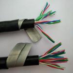 PVC Insulation Single conductor Armoured Control Cable KVV22 450/750V in black