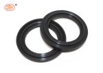 Heat Resistant FKM FPM Rubber Gasket Seal for Aerospace