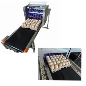 Wholesale Flexible Digital Eggs Industrial Inkjet Barcode Printers With Various Color Ink from china suppliers
