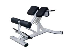 Wholesale Sliver Color Commercial Gym Exercise Equipment Back Extension Roman Chair from china suppliers