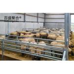 ASTM Standard Steel Grade Prefab Agricultural Building for Cattle and Sheep