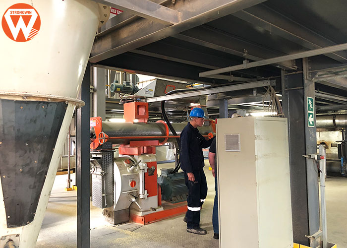 animal feed production line