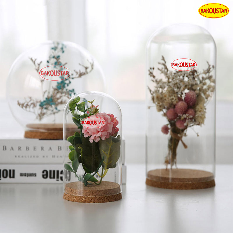 Hand Blown Borosilicate Eternal Life Flower Glass Cover