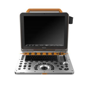 Wholesale 3D 4D 5D Vascular Medical Ultrasound Instruments Portable Color Doppler Ultrasound from china suppliers