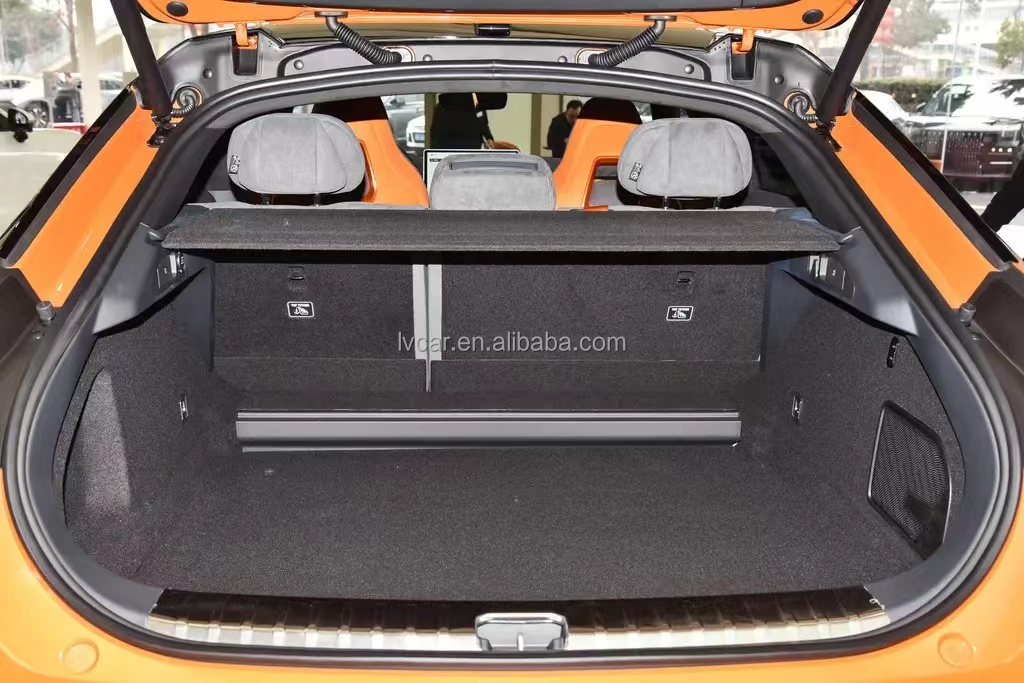 Maximum Power 200-250Ps 's Pure Electric Vehicles with Car Entertainment System Included