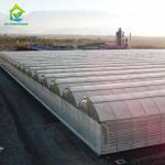 Multispan 4 Season Plastic Film Insect Net Greenhouse For Cucumbers