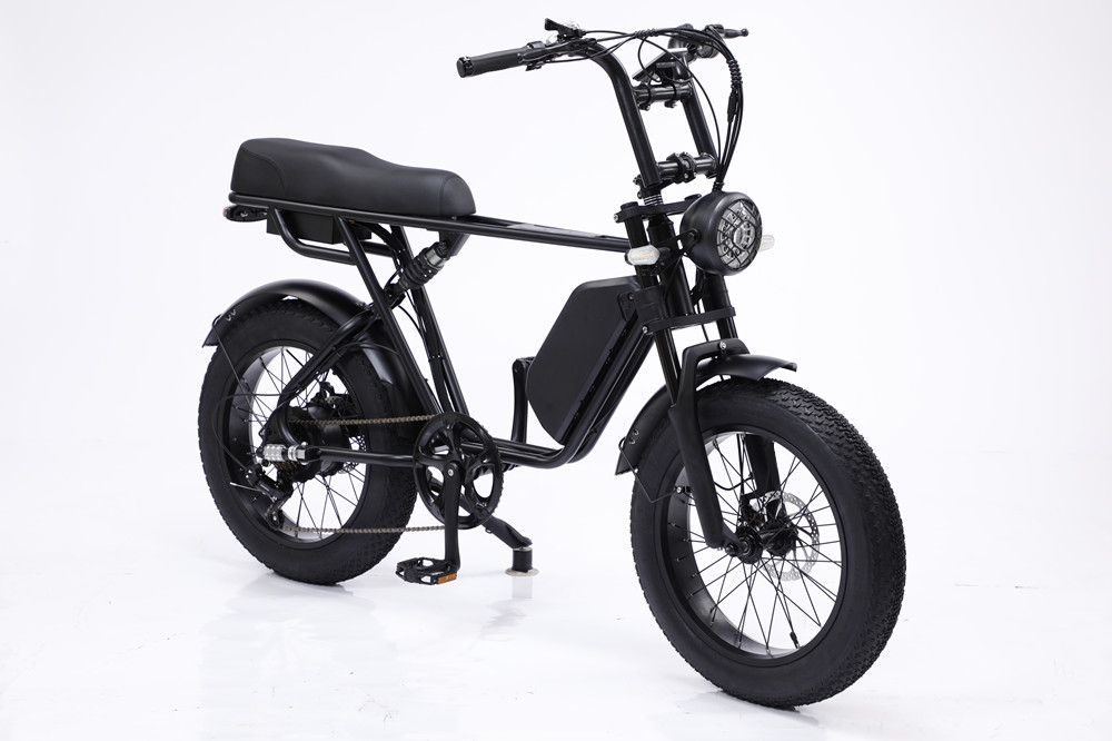 48V 750W Motor Electric Hybrid Bike Full Suspension 20 Inch Fat Tire Ebike 17Ah Battery