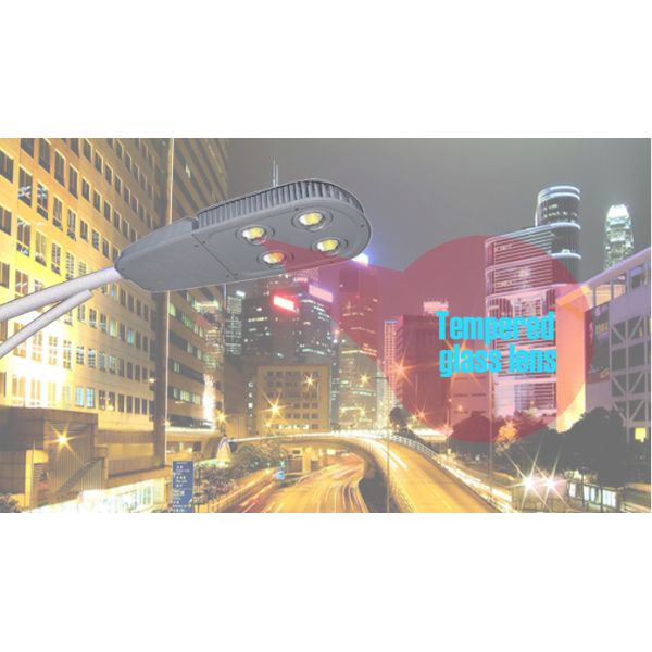 High Power 2000lm High Color Rendering Index LED Street Lighting Fixtures For Main Road