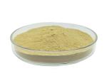 Organic Nitrogen 13% Powder Amino Acid 80% For Vegetables Cereals
