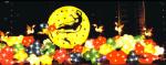 Christmas Decoration; Mid-Autumn Festival Decoration; Halloween Decoration;