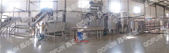 440V Mango Processing Line / Mango Processing Equipment 1 - 20 Ton Capacity Per Hour