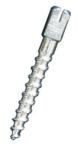 Dental Stainless Steel Ouro Post / Dental Titanium Screw Post