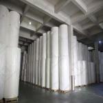 Cost-Effective PE Coated Cupstock Board For Bulk Disposable Cup Production