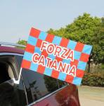 Demonstrate auto racing banners Polyester Auto Flags Banners 12x18inch Suction