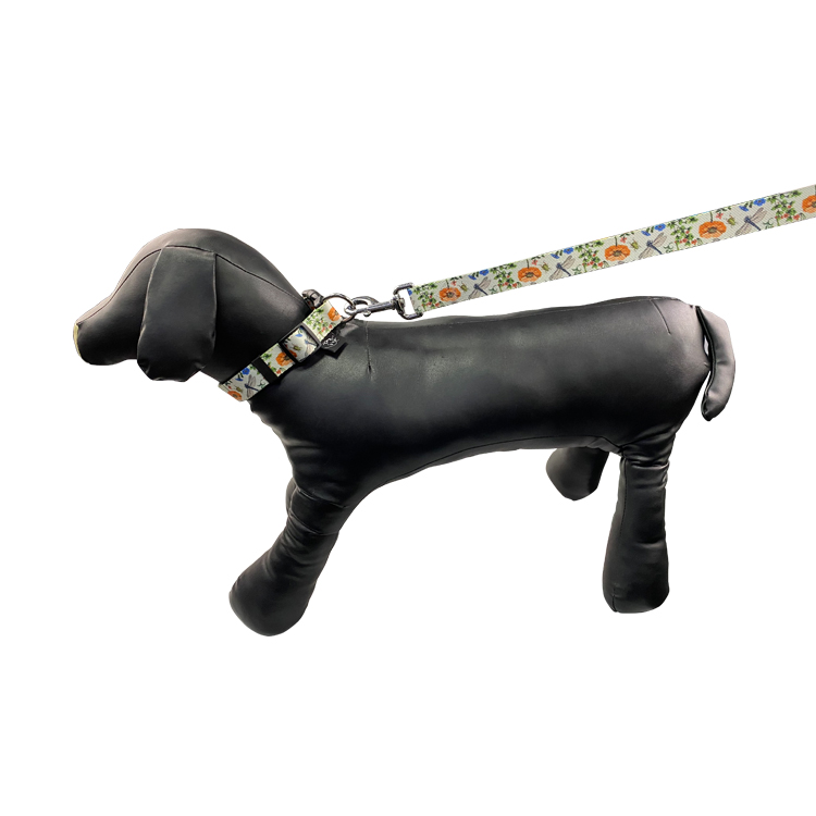 Small Medium Large Classic Dog Collar With Quick Release Buckle