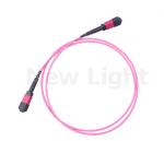 5M OM4 12 core female MPO / MTP - MPO optical fiber patch cord LSZH 3.0 magenta