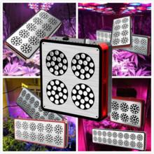 Wholesale New apollo horticulture 300w 600w 800w 900w 1000w High Power full spectrum plant led grow from china suppliers