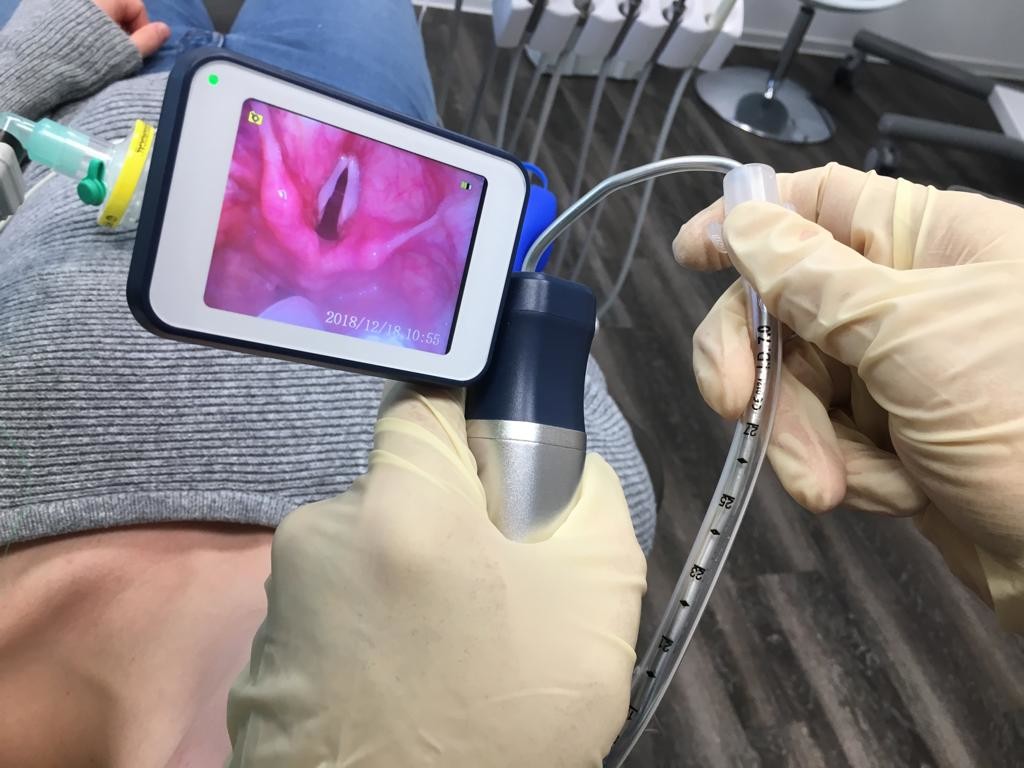 Veterinary flexible Bronchoscopy Fiber Optic Anesthesia video laryngoscopy airway pediatric stainless Miller Macintosh