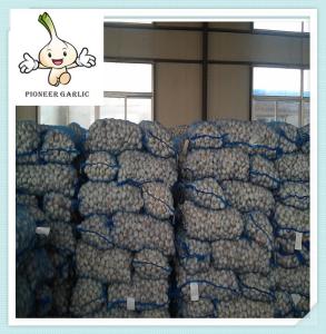 Wholesale China fresh white garlic New harvest fresh white garlic for sale from china suppliers