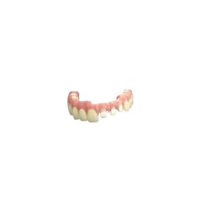 Wholesale Flexible Individual Titanium Removable Dental Crown For Dental Clinic from china suppliers