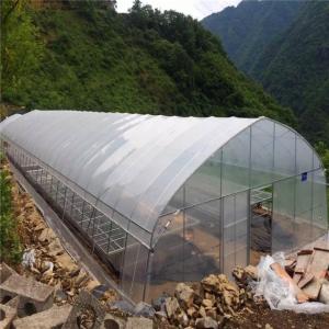 Wholesale UV Resistance Hot Dipped Steel Frame Single Span 10m Tunnel Plastic Greenhouse from china suppliers