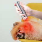 630nm 660nm 830nm Infra Red Flashlight Red Light Therapy Torch For Healing Wound