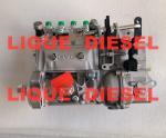 BYC pump 5342393 10400864080 10 400 864 080 CPES4A95D320/3RS2162