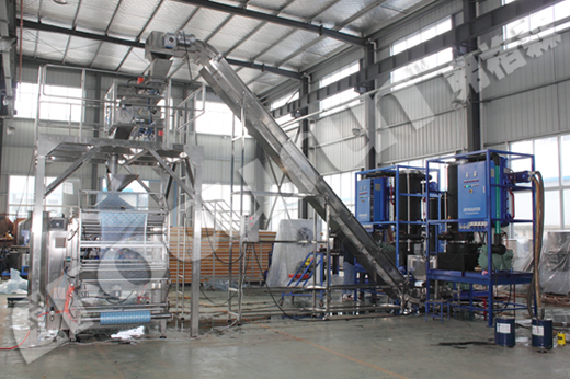 Automatic Grade SUS304/316 Ice Bagger Packing Machine for Hot Popular Promotion 2022