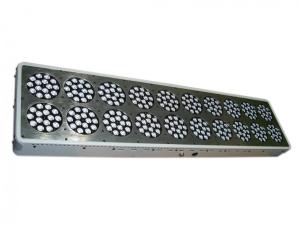 Wholesale uv lighting for plants full spectrum lighting led grow lights 1000W from china suppliers