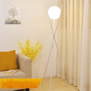 Wholesale Modern LED Floor Lamp Iron Glass Ball Stand Lights For Living Room Nordic bedside floor lamp（WH-MFL-114) from china suppliers