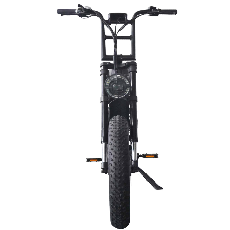 Rear Carrier Battery Electric Moped Utility E-Bikes for Work 48v 500w Full Suspension