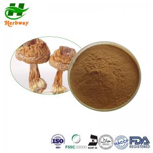 Wholesale Agaricus Brasiliensis Agaricus Blazei Extract 10%-50% Polysaccharide from china suppliers