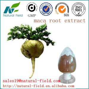Wholesale maca extract from china suppliers