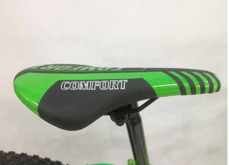 Private Label Snow Sand 4.0 Fat Tyre Electric Bicycle