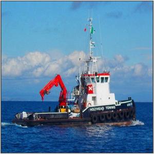 Wholesale Central Hydraulic Knuckle Boom Biggest Marine Crane Marine Ship Deck Crane from china suppliers