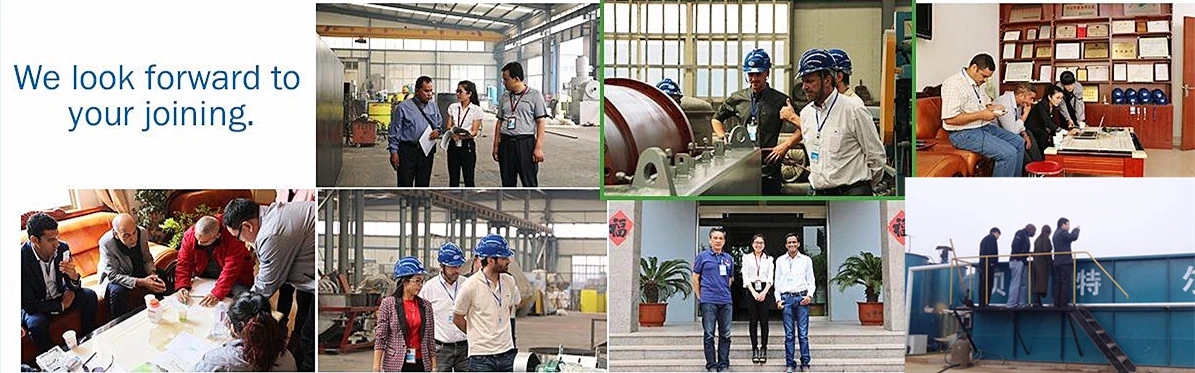 Video Technical Support Sewage Treatment Plant Water Filter System and DAF Equipment