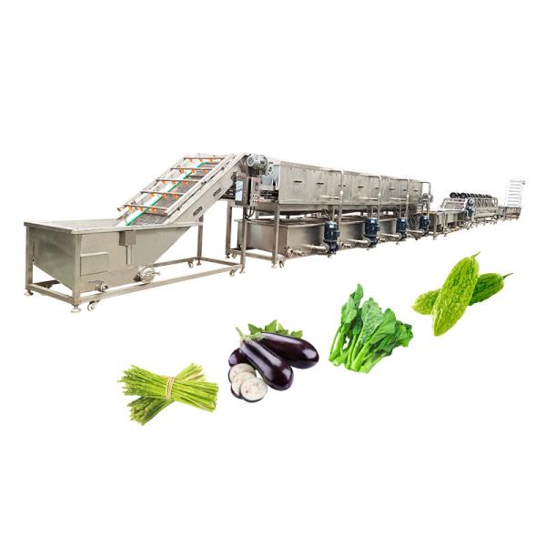 Customized SUS 304 Material Bubble Cleaning Drying Machine for Fruits and