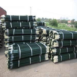 Wholesale Green Color Pvc Coated Studded T Post 6 Ft For Field Metal Fence from china suppliers