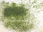 Green Ulva Lactuca Seaweed Sprinkle - Natural Umami Flavor For Eco Conscious
