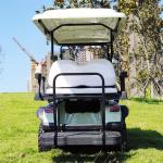 Basic 4 Seat EV Golf Cart 4KW AC Motor Acid Battery Electric Golf Buggy China
