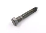 5 Inch Long Steel Wood Screws , Field Construction Structure Hex Lag Bolts